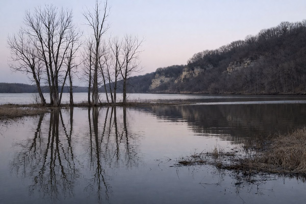Calm river backwater slough with bare trees standing in the water, pale dusk sky reflecting